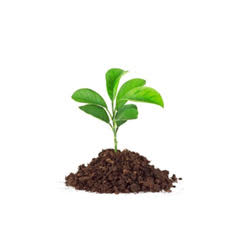 Mini Slide Agriculture